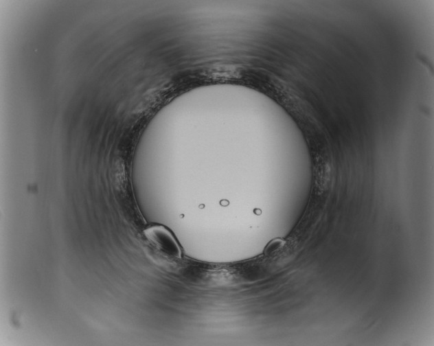 X0000099320704200805161401