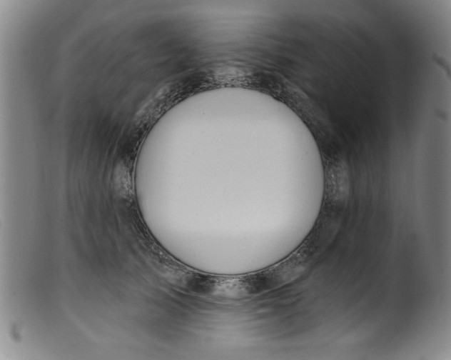 X0000099320705200805161401