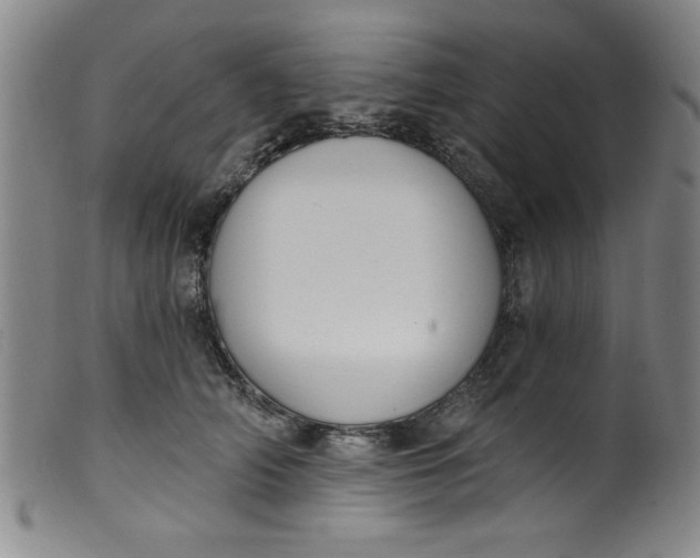 X0000099320706200805161401