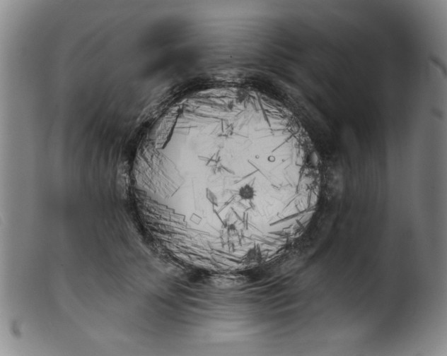 X0000099320707200805161401