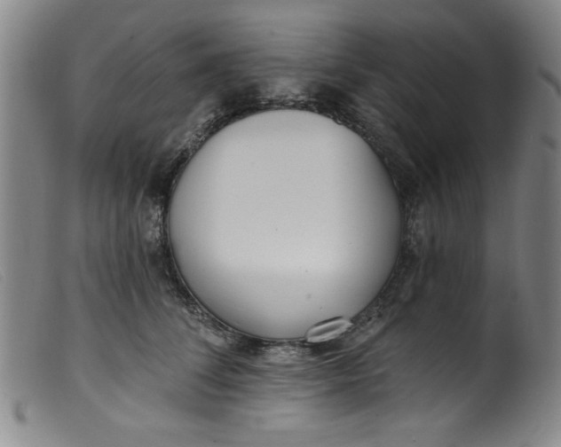 X0000099320708200805161401