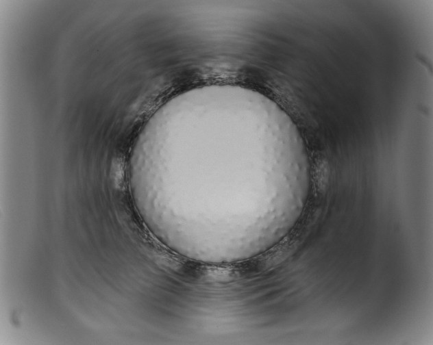 X0000099320709200805161401