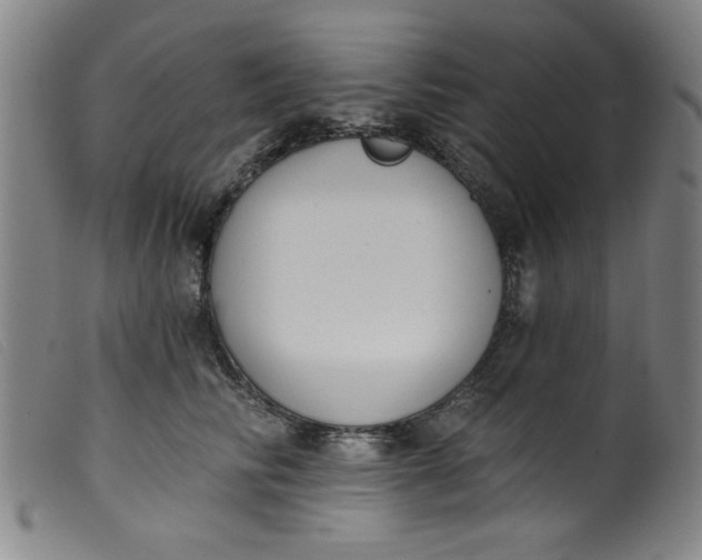 X0000099320710200805161401