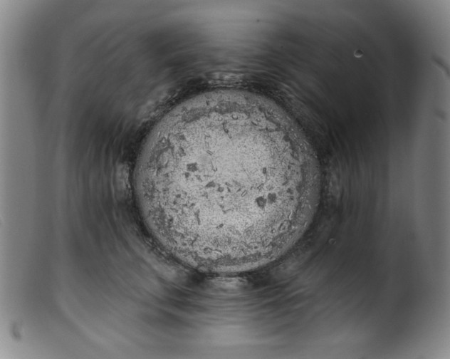 X0000099320711200805161401