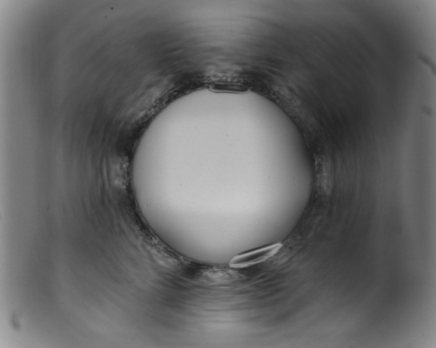 X0000099320712200805161401