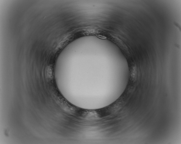 X0000099320715200805161400