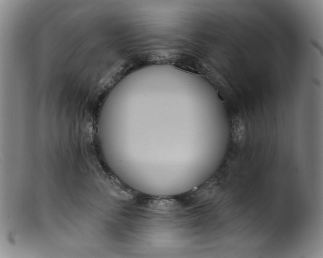 X0000099320716200805161400