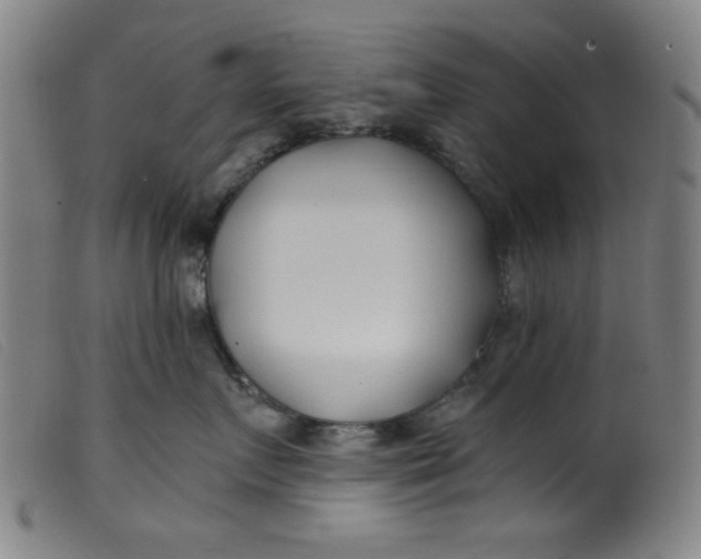 X0000099320719200805161400