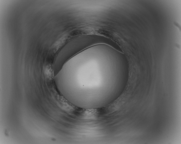 X0000099320720200805161400