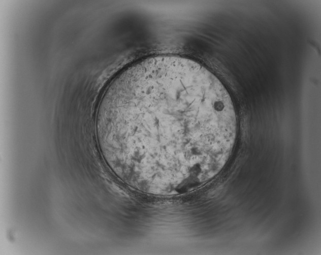 X0000099320721200805161400