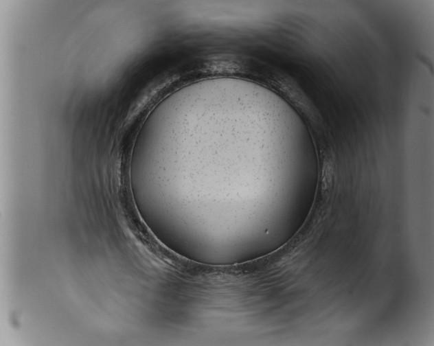 X0000099320722200805161400