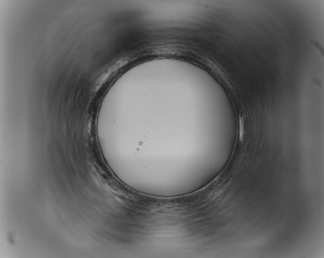 X0000099320723200805161400