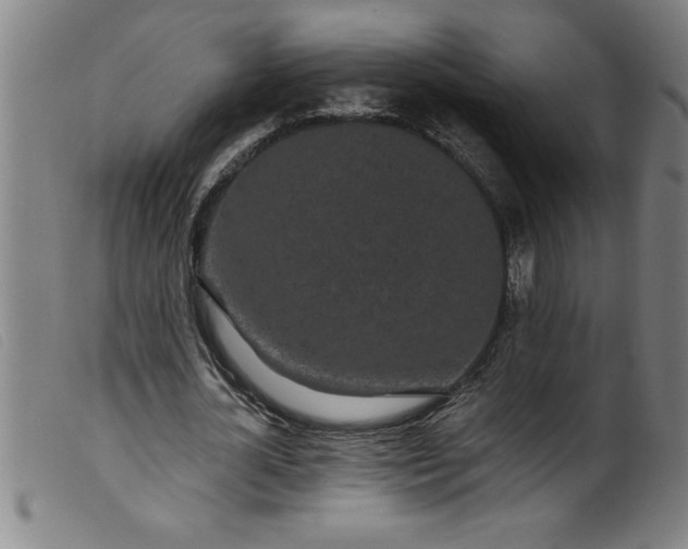 X0000099320724200805161400