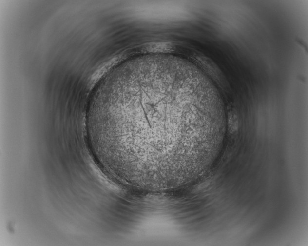 X0000099320725200805161400