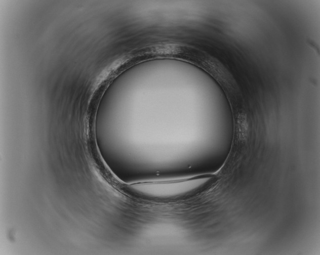 X0000099320726200805161400