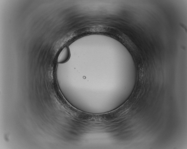 X0000099320727200805161400