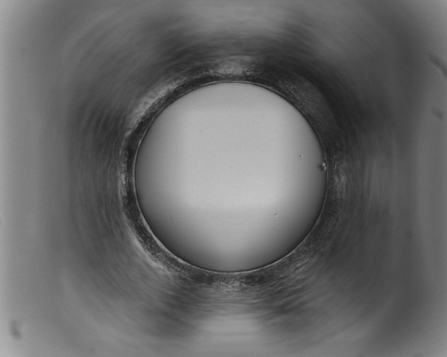 X0000099320728200805161400