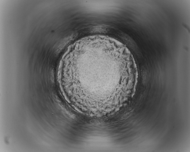 X0000099320729200805161400