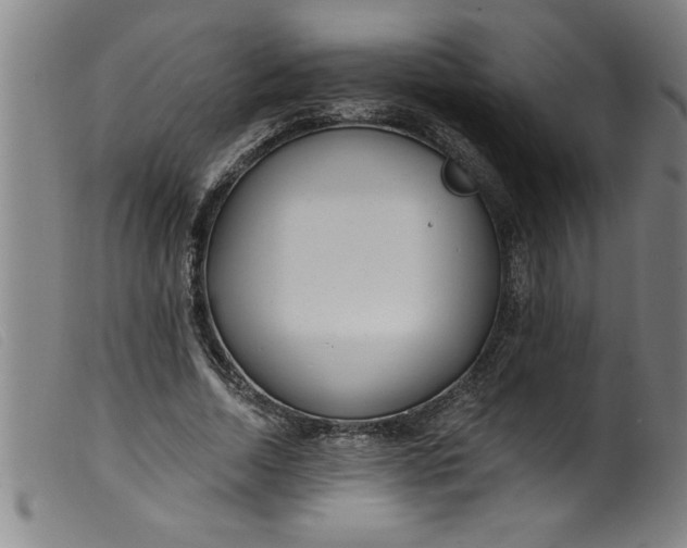 X0000099320730200805161400