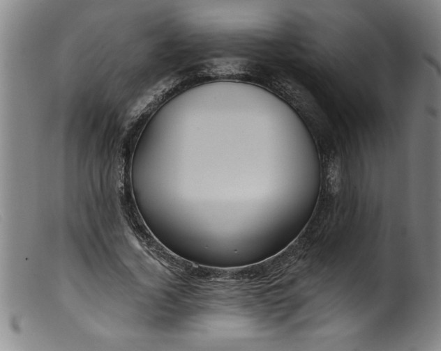 X0000099320732200805161400