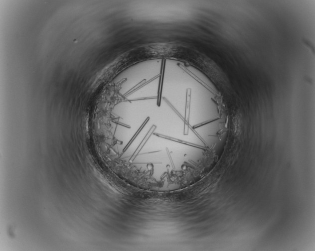 X0000099320733200805161400