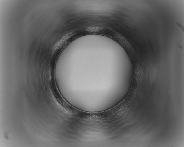 X0000099320734200805161400