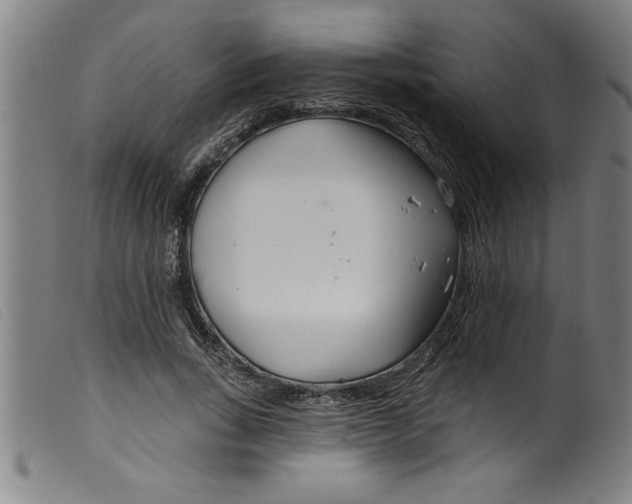 X0000099320735200805161400