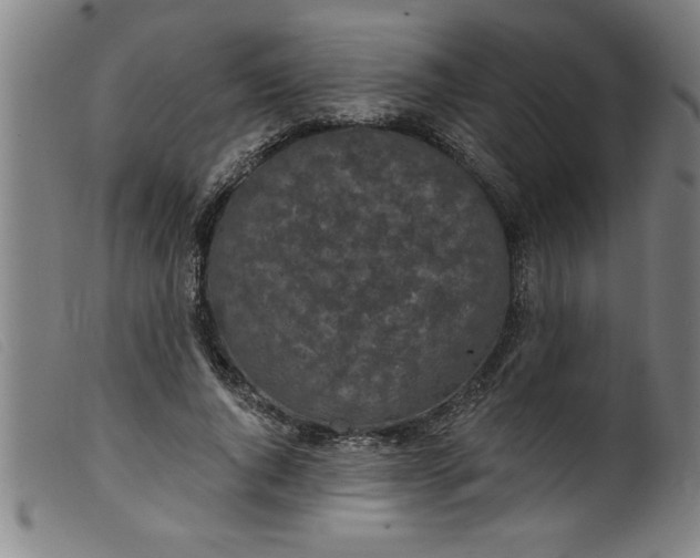 X0000099320736200805161400