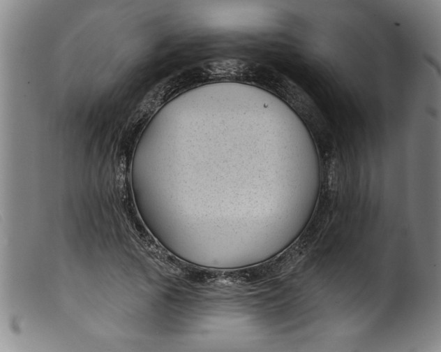 X0000099320737200805161400