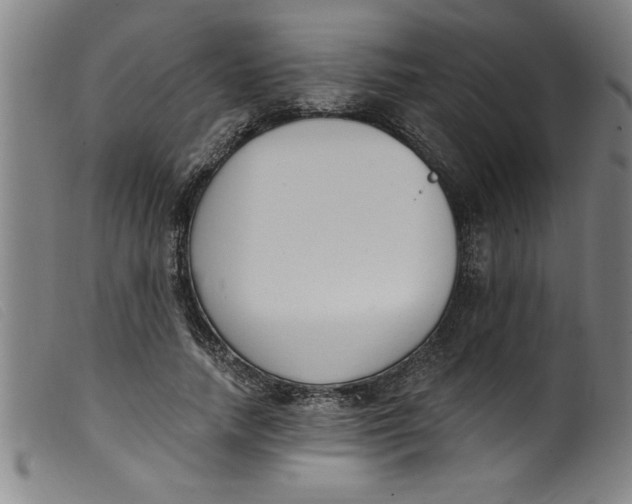 X0000099320738200805161400