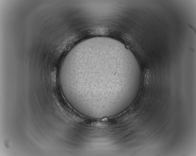 X0000099320739200805161400