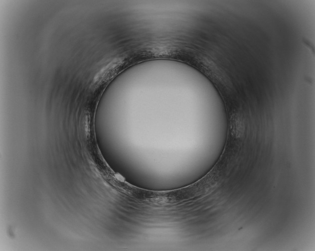 X0000099320740200805161400