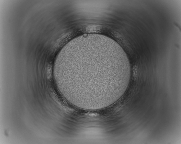 X0000099320741200805161400