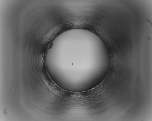 X0000099320742200805161400