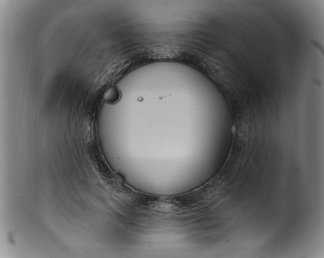 X0000099320743200805161400