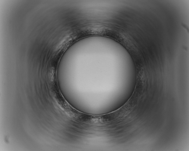 X0000099320744200805161400