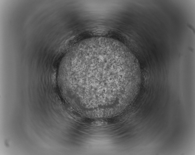 X0000099320745200805161400