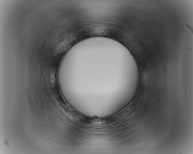 X0000099320746200805161400