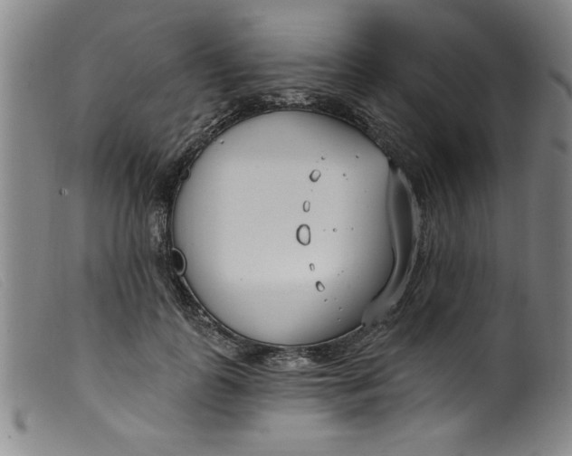 X0000099320747200805161400