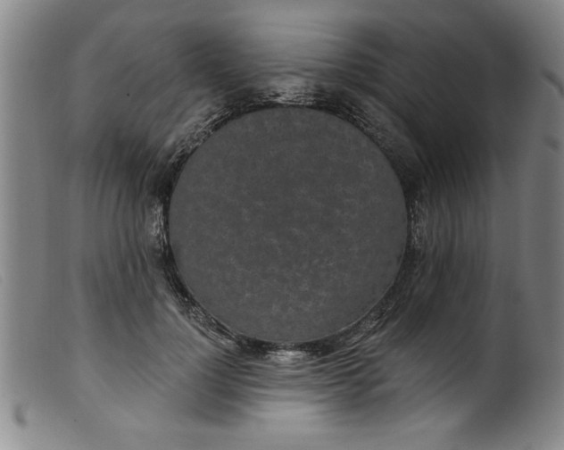 X0000099320748200805161400