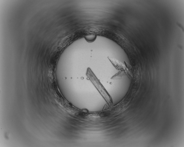 X0000099320749200805161400