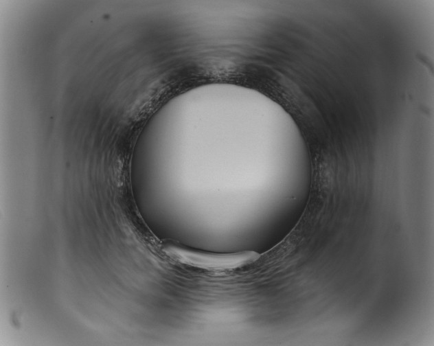 X0000099320750200805161400