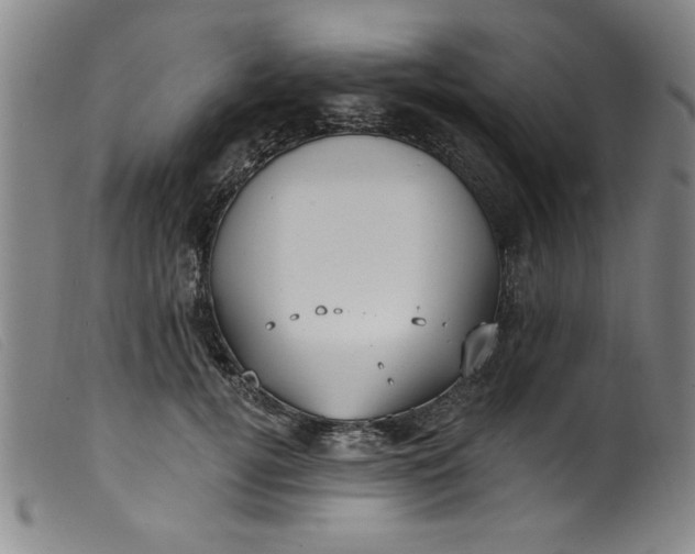 X0000099320752200805161400