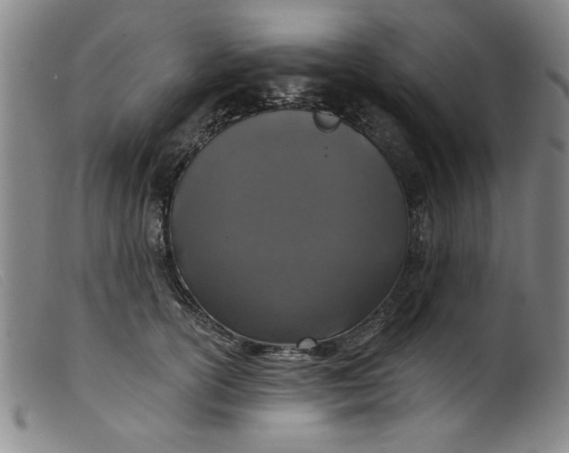 X0000099320754200805161400