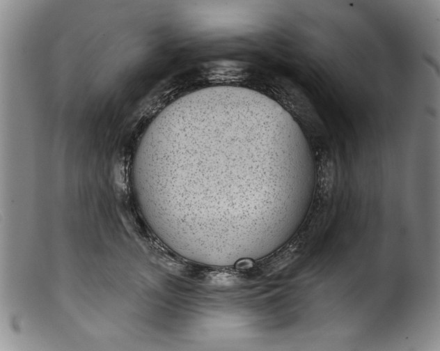 X0000099320755200805161400