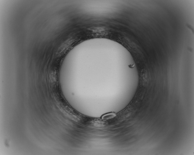 X0000099320756200805161400