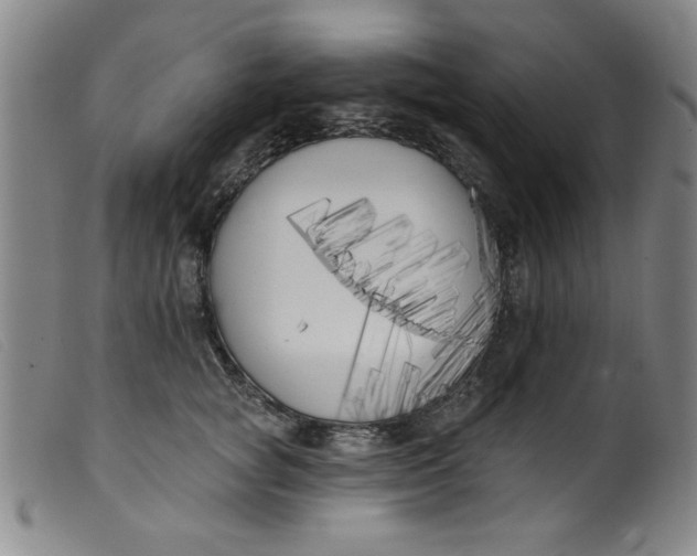 X0000099320757200805161400