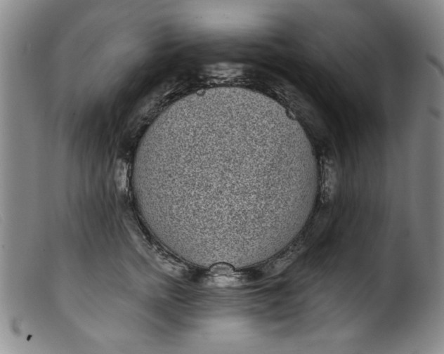 X0000099320758200805161400