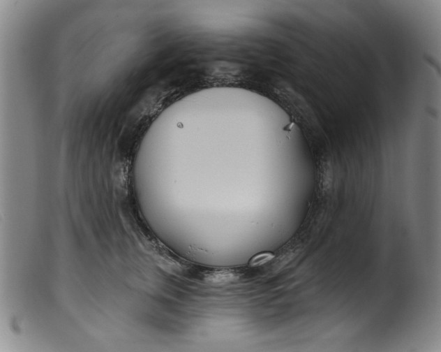 X0000099320759200805161400