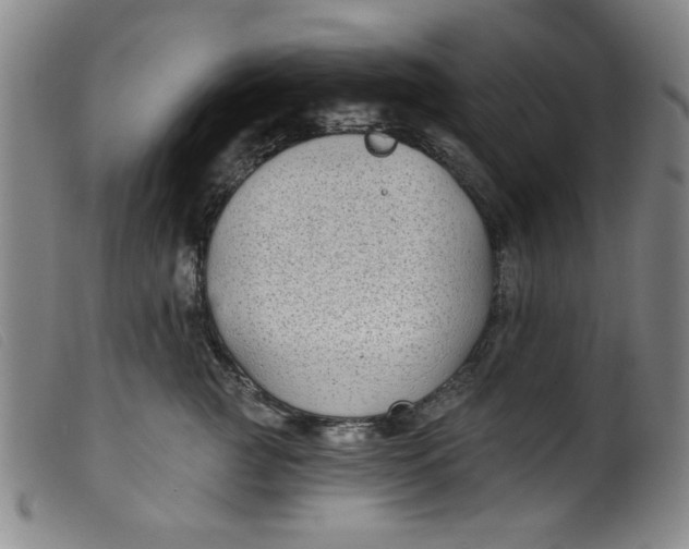 X0000099320761200805161400